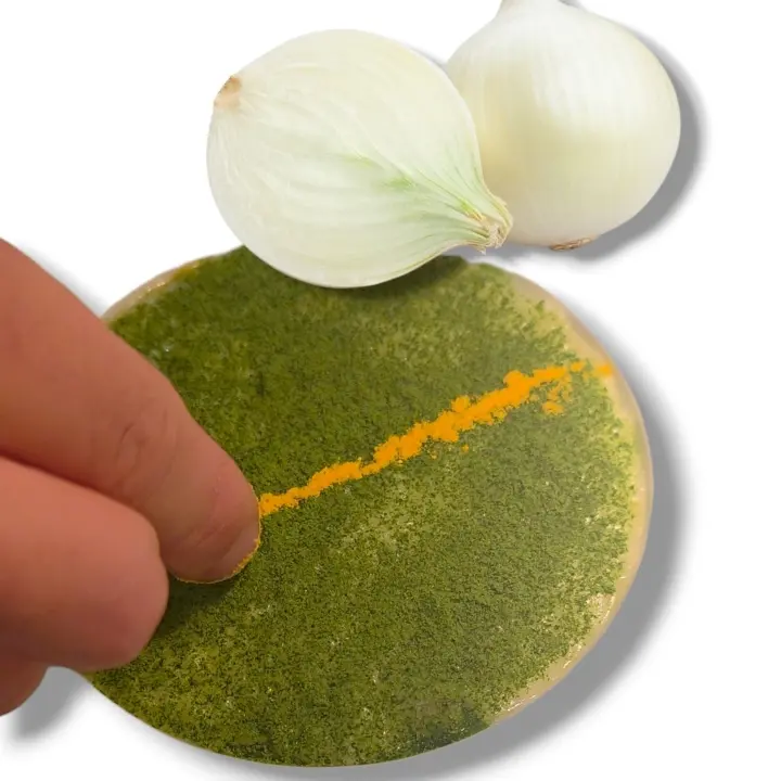 creation thumb for Onion Powder