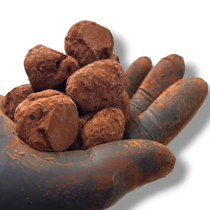 creation thumb for Chocolate and Coconut Truffles