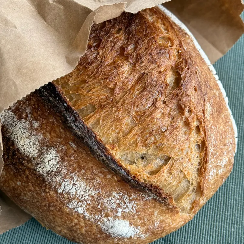 creation thumb for Sesam-Sauerteigbrot