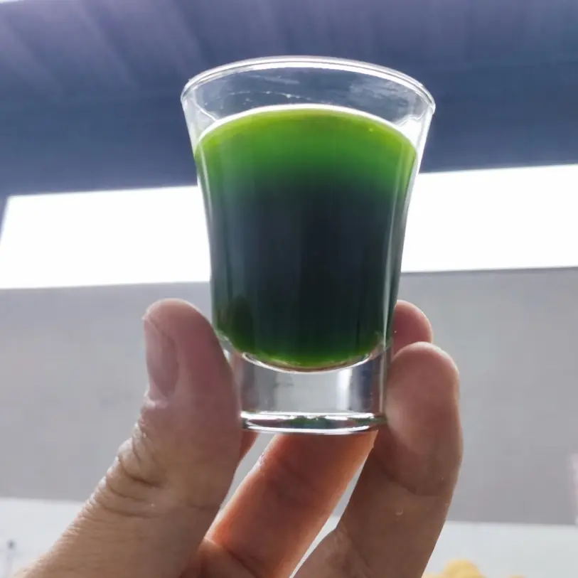 creation thumb for Aceite de albahaca 