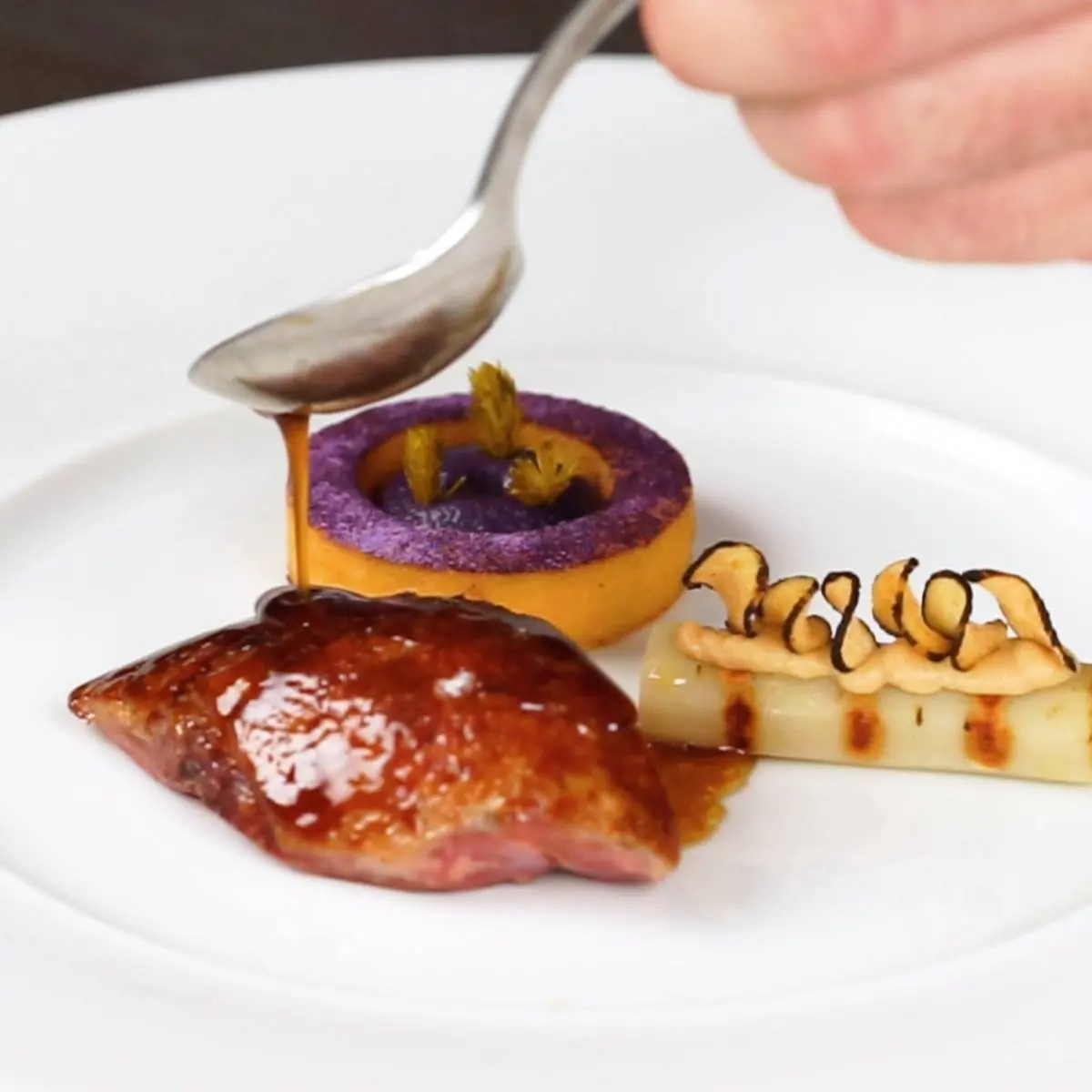 creation thumb for French King Pigeon | Red Cabbage | Black Salsify