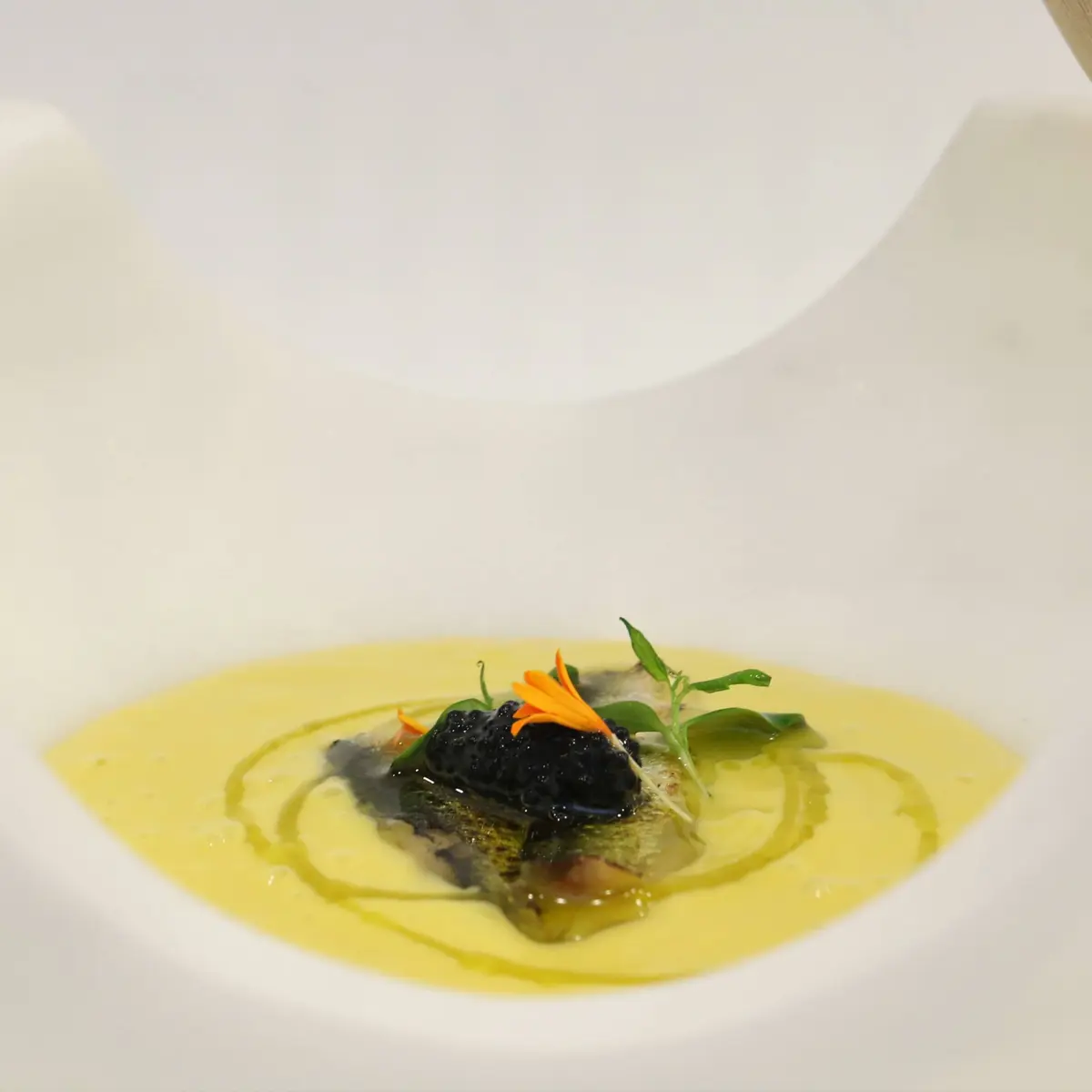 creation thumb for Gazpacho di Mango, Sardine e Uova di Mujol Con EVOO