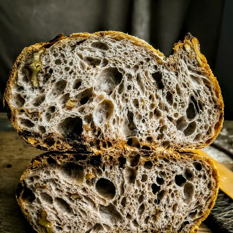 creation thumb for Chocolate and Walnut Sourdough 