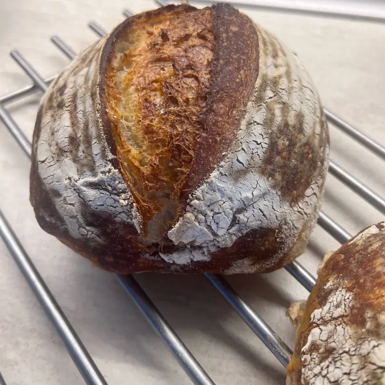 creation thumb for Sourdough bread
