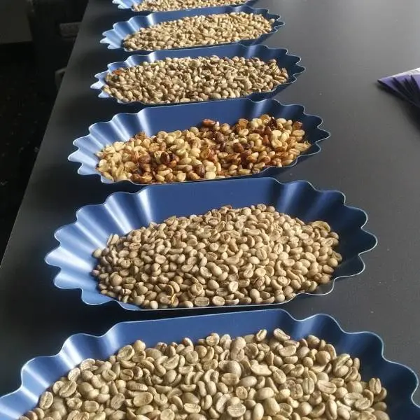 creation thumb for 100 % Arabica oder die Frage nach Qualität 