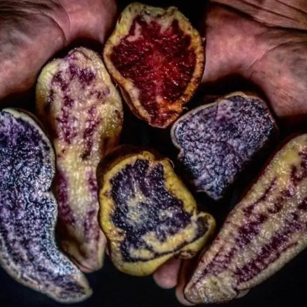 creation thumb for Potatoes grown at 4,000m above sea-level 🥔⛰️