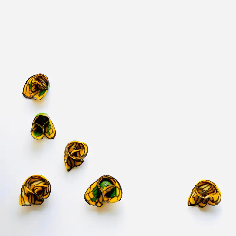creation thumb for Tortelloni