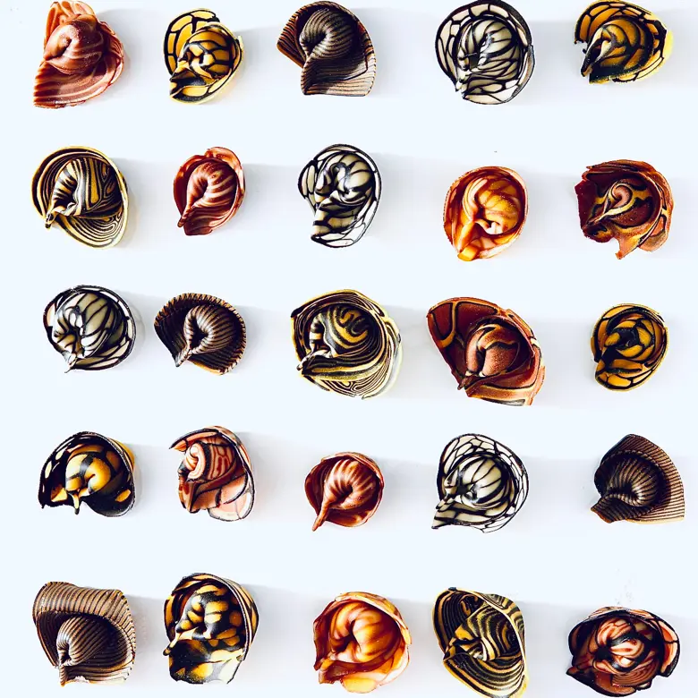 creation thumb for Collecion of ccollorfull pasta  