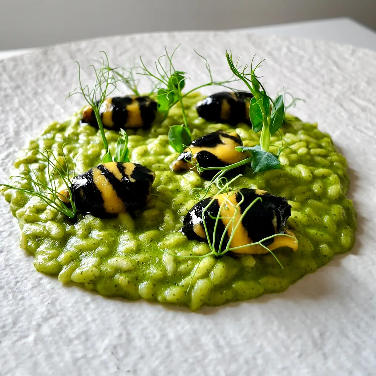 creation thumb for Top Creations - Simone Giannotta 