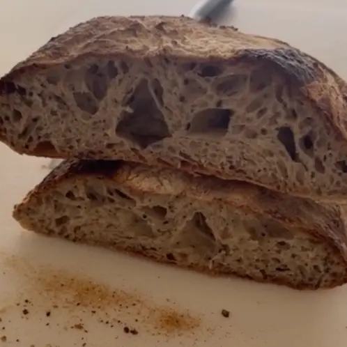 creation thumb for Homemade Ciabatta with Brewer’s Yeast