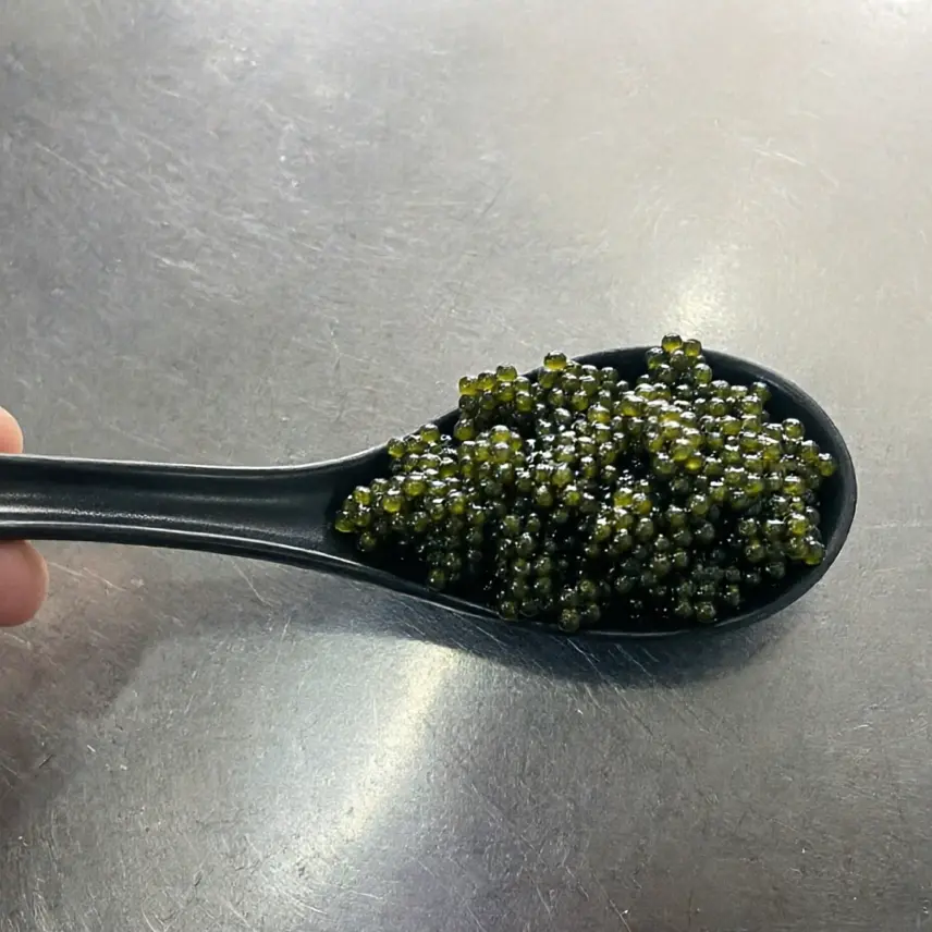 creation thumb for Nori Caviar