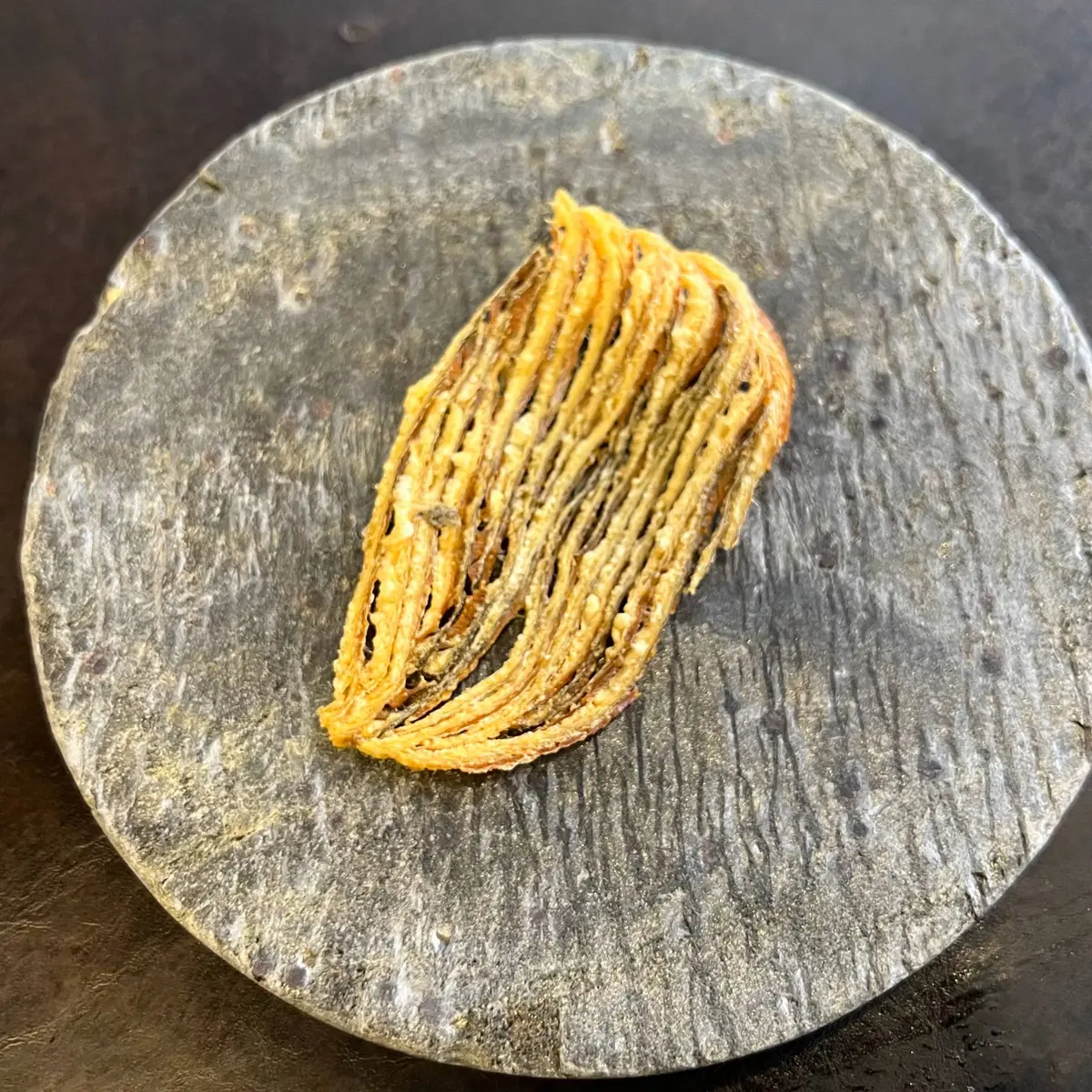 creation thumb for Fish Skin Chip