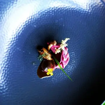 creation thumb for Gluten Free , vegan jackfruit Gyoza