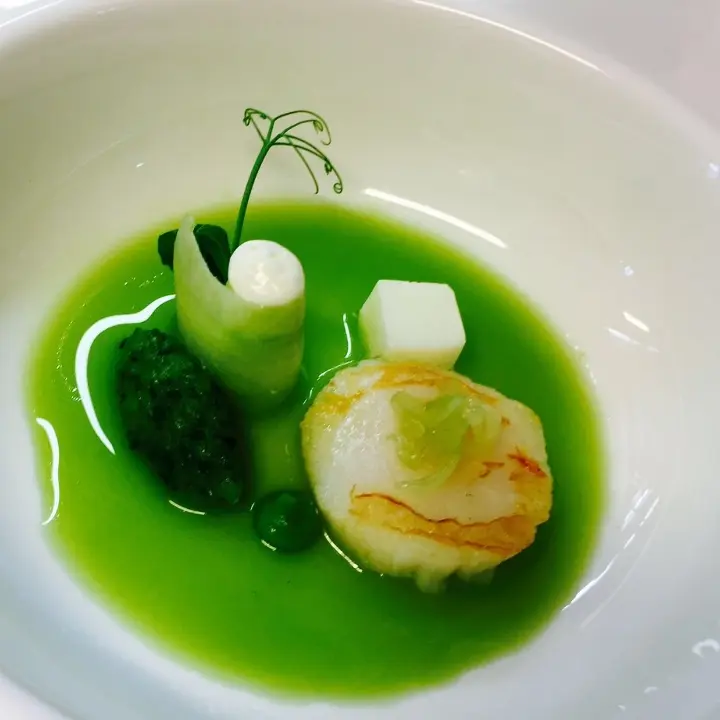creation thumb for  scallop / cucumber / sour cream