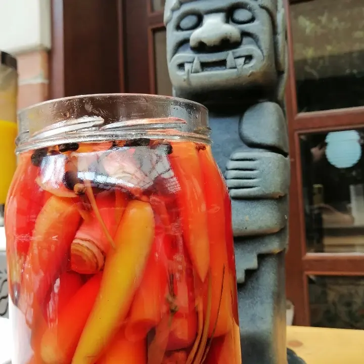 creation thumb for  Lactofermented colored carrots