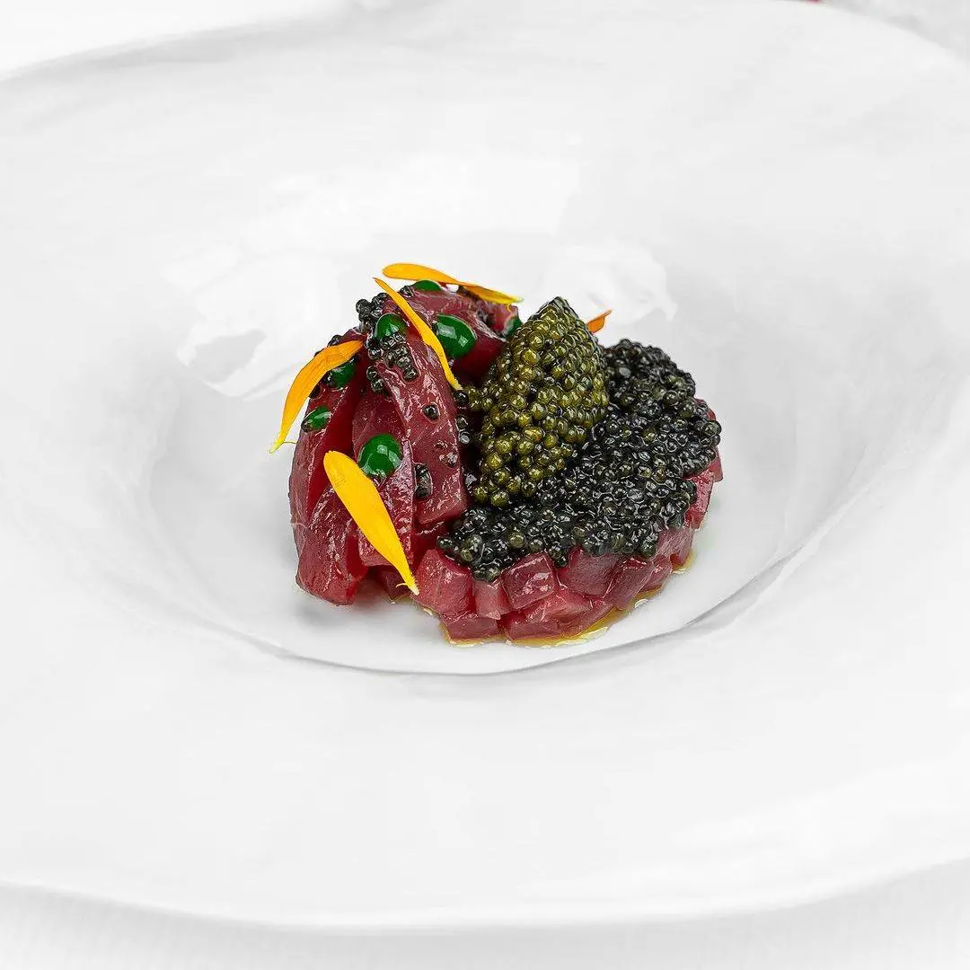 creation thumb for Mediterranean Tuna in Red and Black