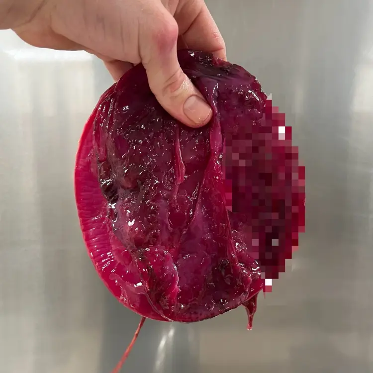 creation thumb for Kirschblüten- & Rote-Bete-Kombucha