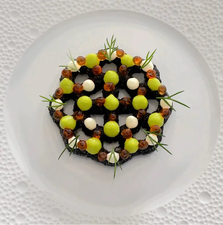 creation thumb for Croustade di Salmone con Avocado e Crema Fraiche
