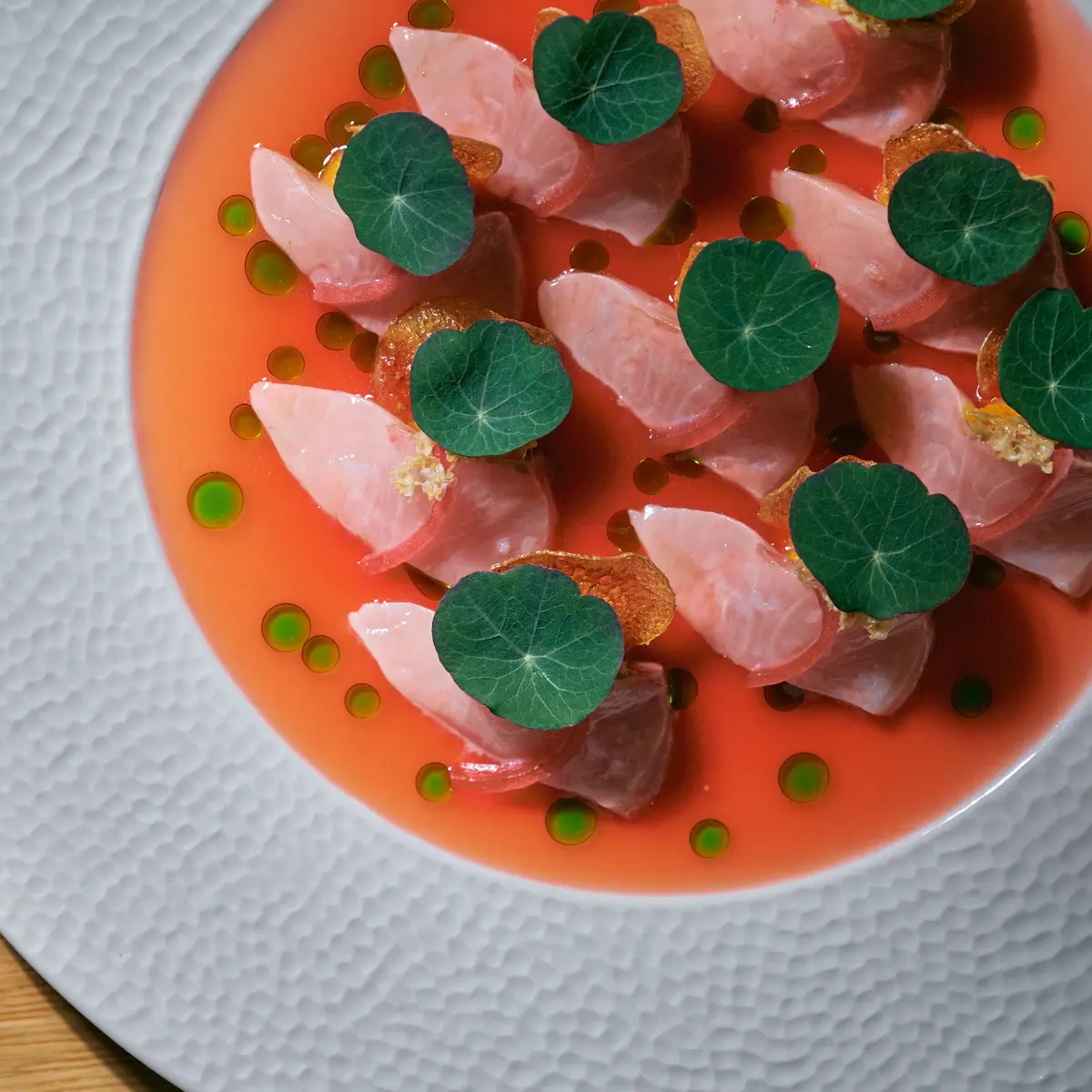 creation thumb for Ceviche Tradito from Kingfish with Rhubarb and Sweet Potato