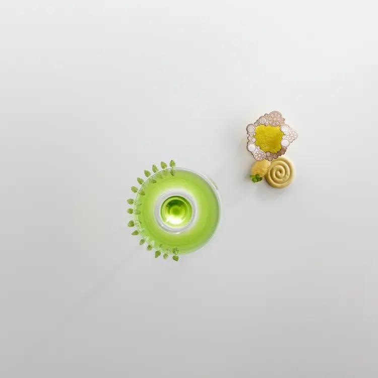 creation thumb for Lactofermented lemon, basil and celeriac