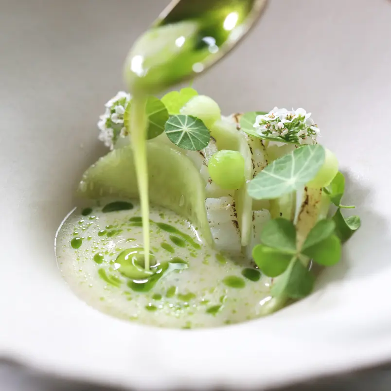 creation thumb for Sauce de Fenouil & Herbes