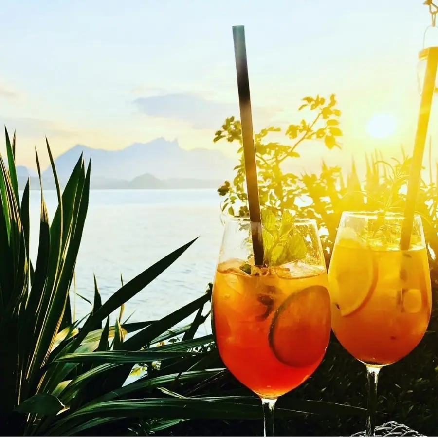 creation thumb for Cheers to the holidays of our guests! 🍹