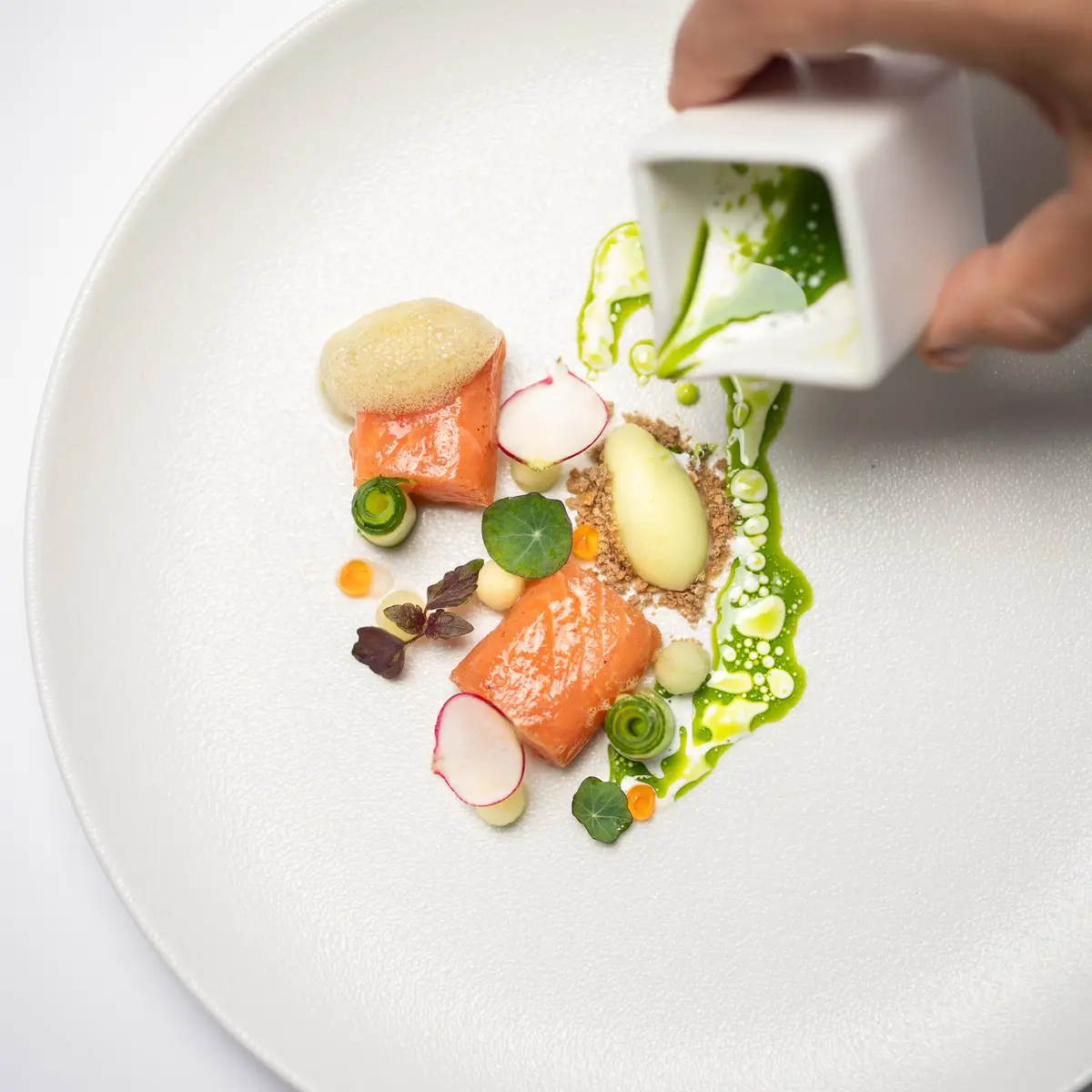 creation thumb for Cured Salmon / apple / shiso / dill