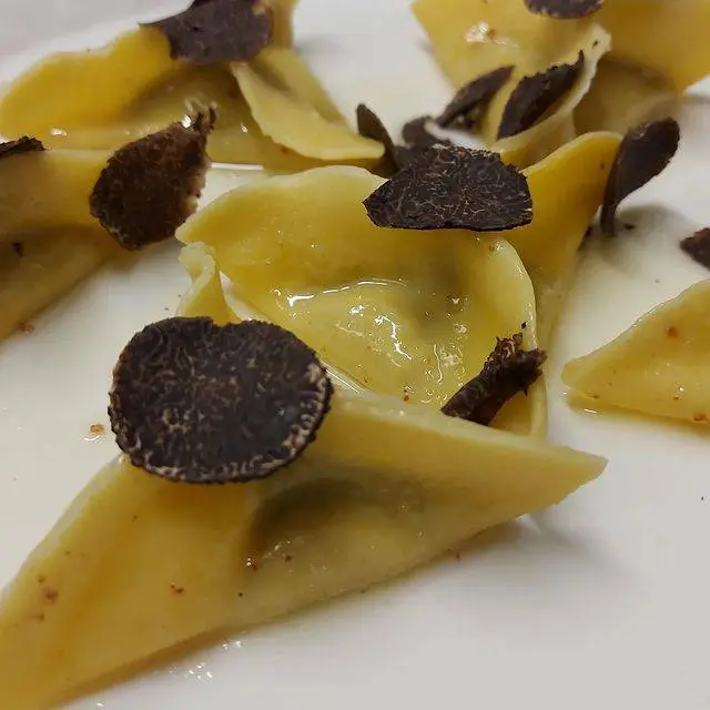 creation thumb for Fresh pasta triangles with ricotta and precious black truffle