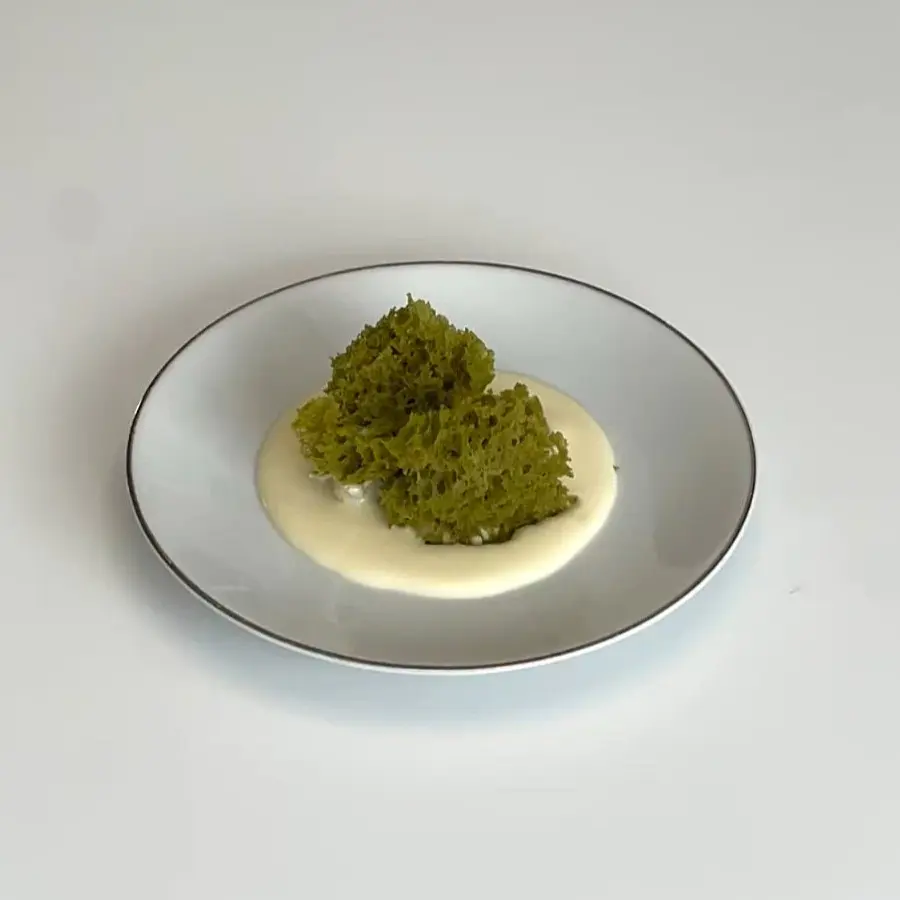 creation thumb for Yuzu Ganache and Siphon Matcha Sponge Cake