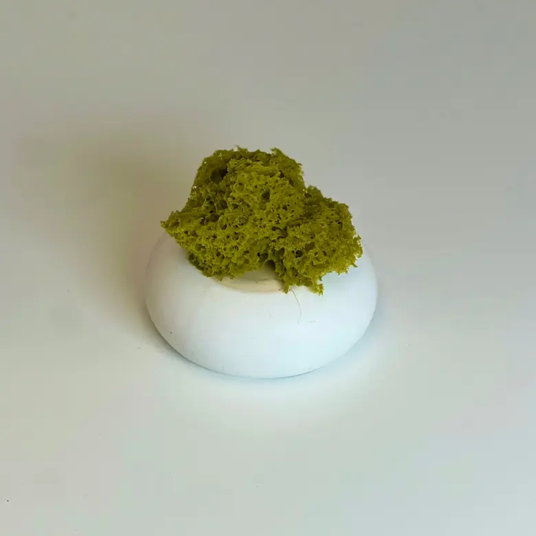 creation thumb for Siphon Matcha Sponge Cake