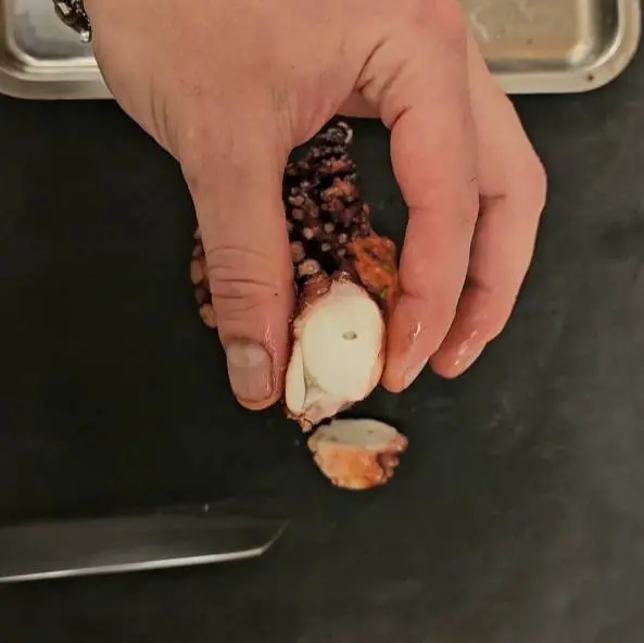 creation thumb for Perfect Octopus