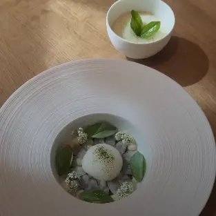 creation thumb for Poached Oyster, Sudachi Gel, Seaweed Tartare und Buttermilch