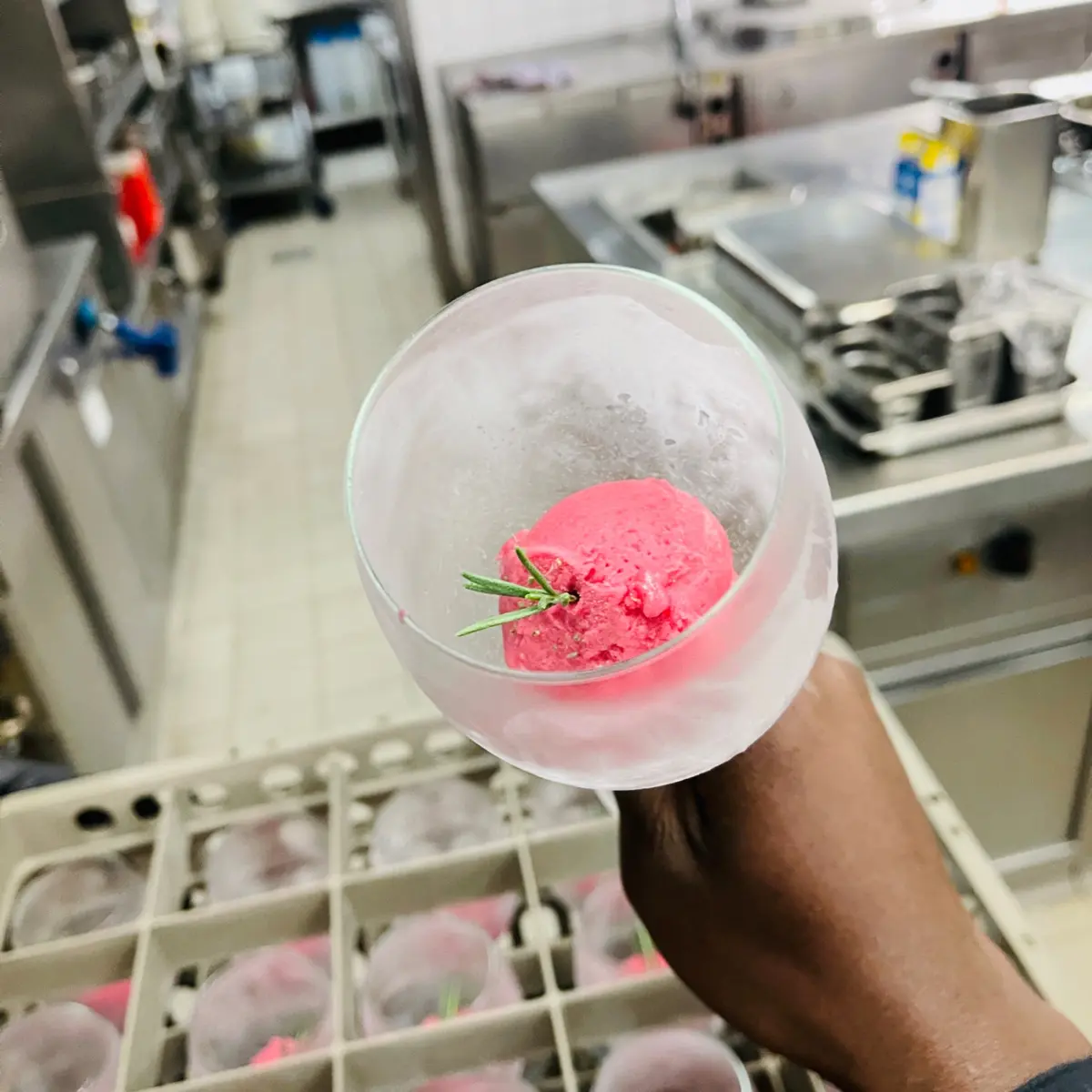 creation thumb for Rosemary Sorbet 🏵