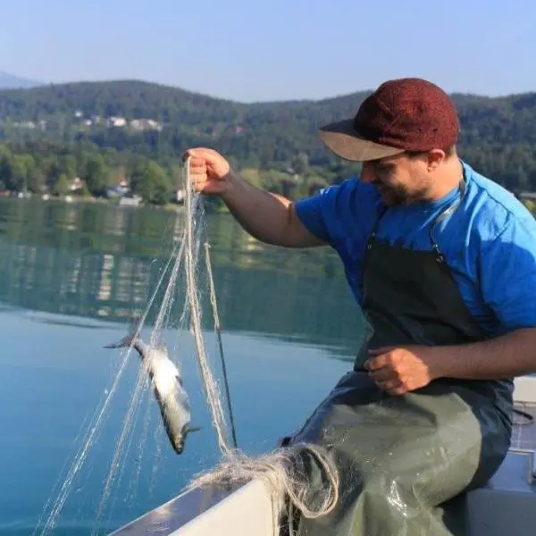 creation thumb for fishing for compliments