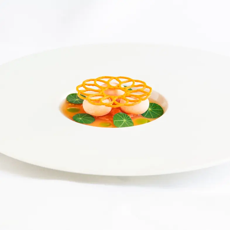 creation thumb for Tomato, tomato sorbet, szeschuan