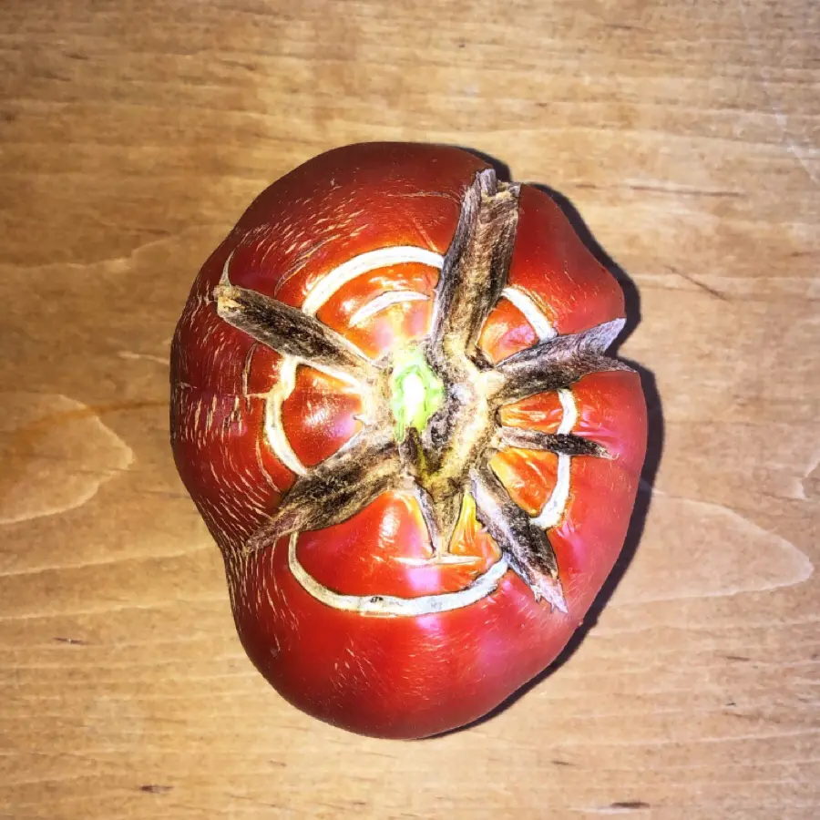 creation thumb for tomato