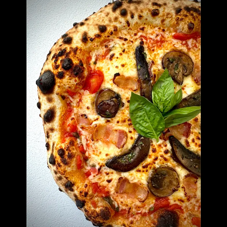 creation thumb for Neapolitan Style Pizza Dough