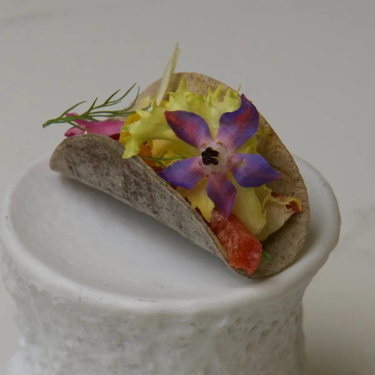 creation thumb for Tacos mit verbranntem Getreidemehl, Papacella und Kaperncreme