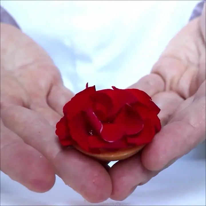 Creation Thumbnail