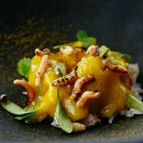 creation thumb for Curry di granchio Katsu