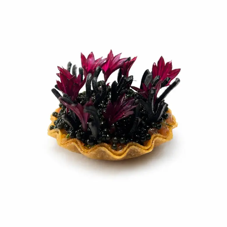 creation thumb for Tartelletta di Rombolo con Caviale & Tuile di Nero di Seppia