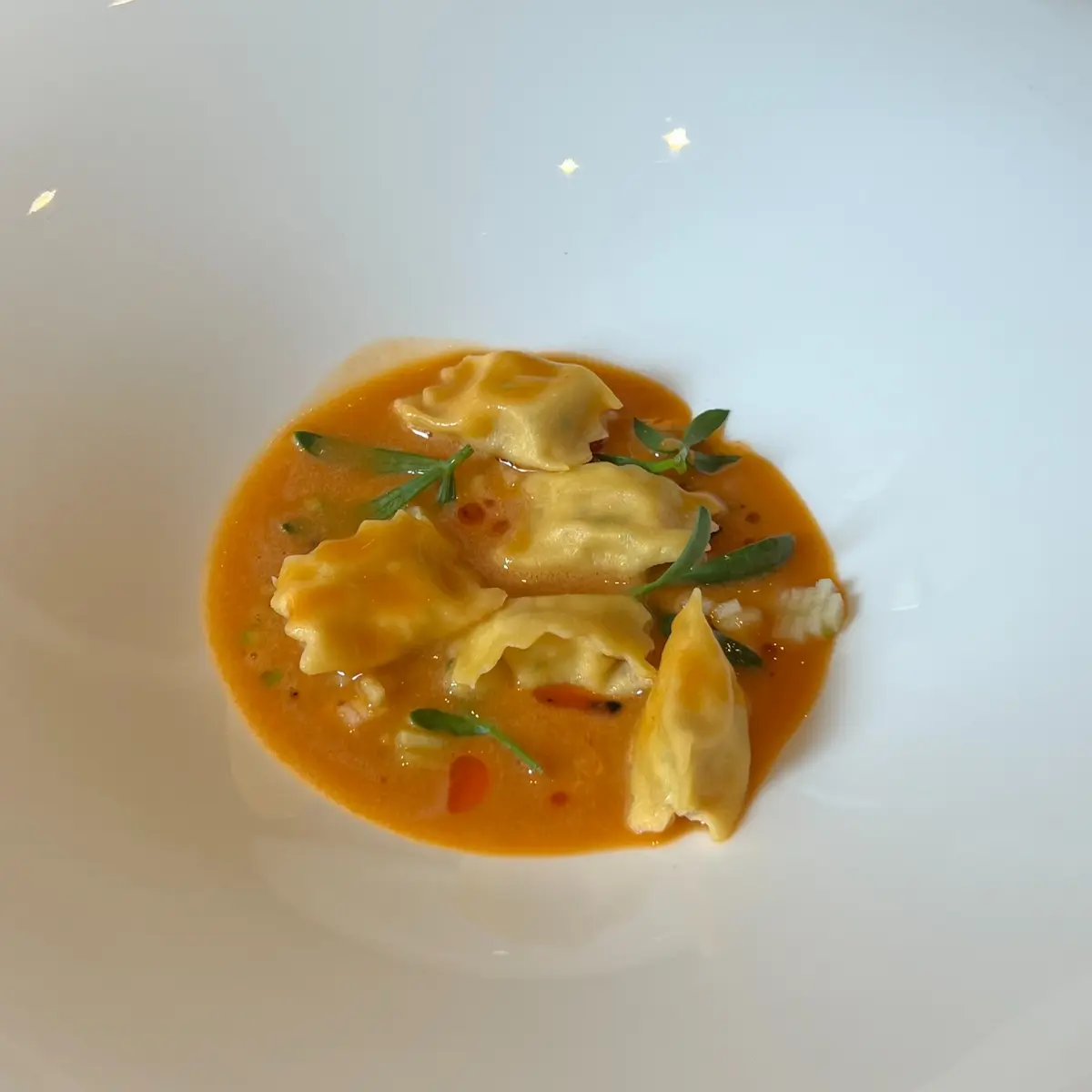 creation thumb for Ravioli del Plin mit Schwertfisch, Cacciucco-Sauce und Grapefruit