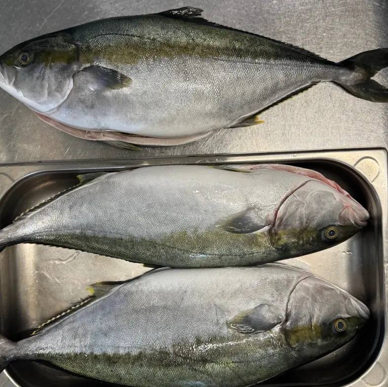 creation thumb for Hamachi Steak 