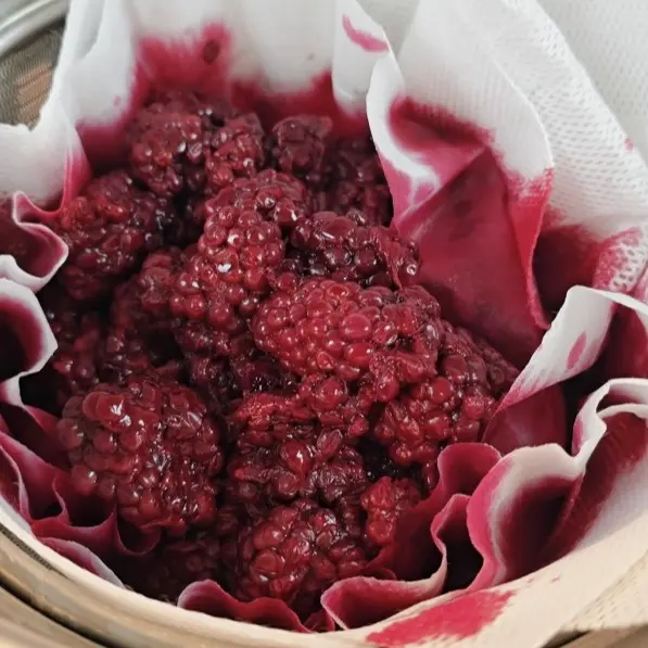 creation thumb for Lacto-fermentierte Brombeeren