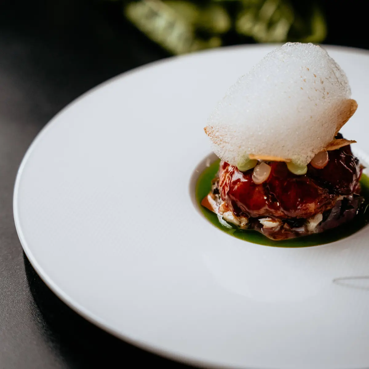 creation thumb for Atlantik Lobster / Tarragon / Vanilla / Olive / Bunter Mango