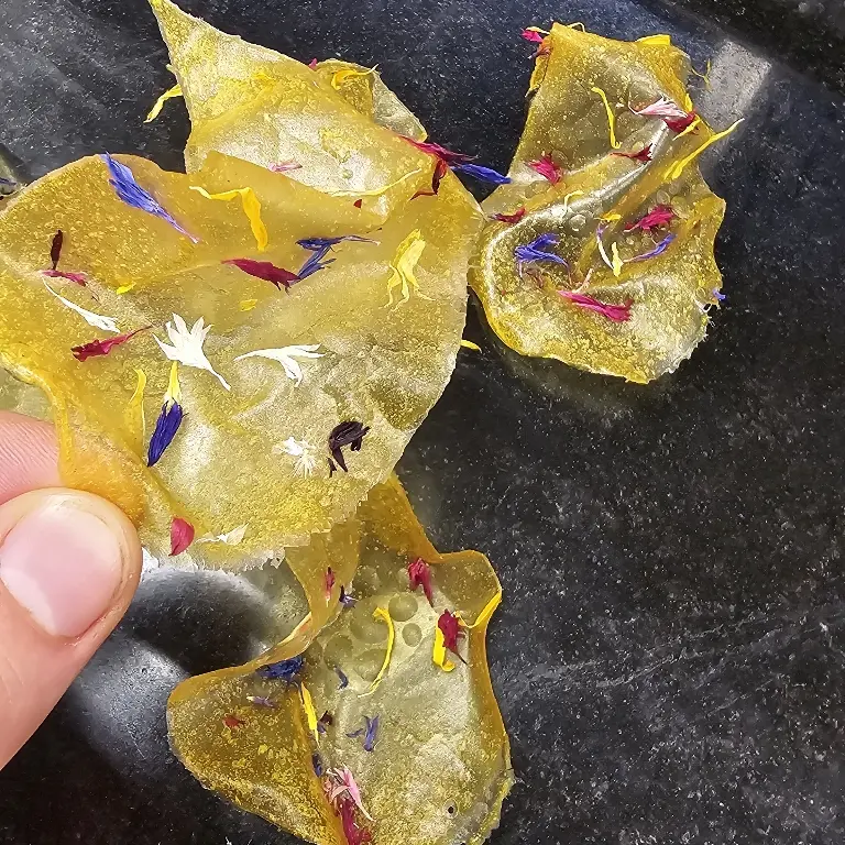 creation thumb for Feuilles de fruits exotiques croustillantes 🥭 🌿
