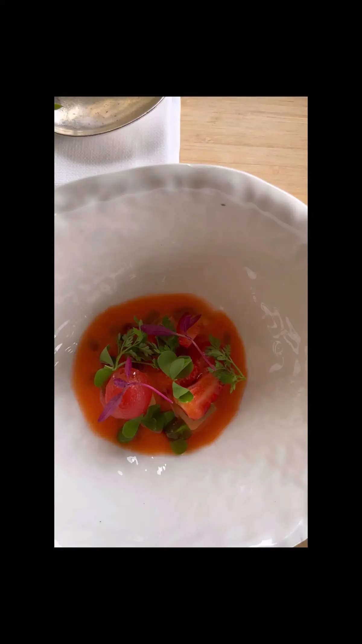 creation thumb for FRUIT GAZPACHO 🍏🍎🍉🍋
