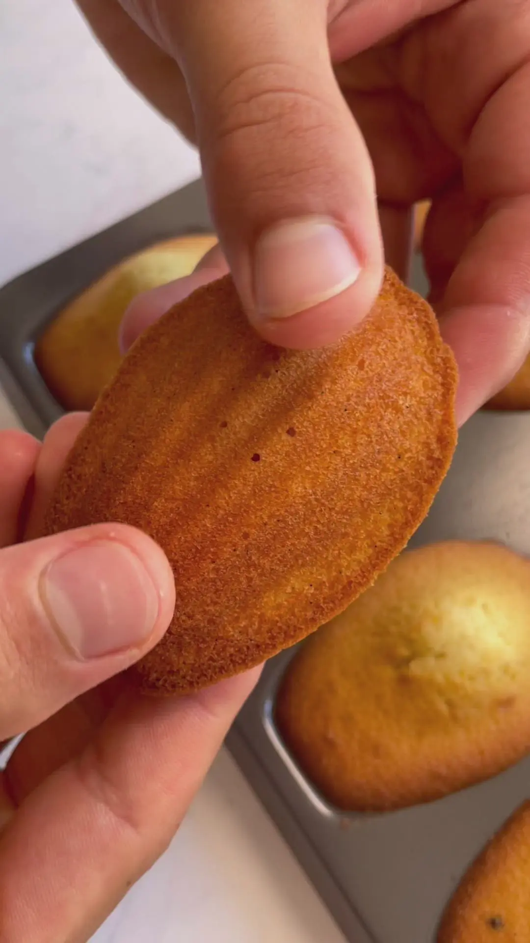 creation thumb for Madeleines ✨