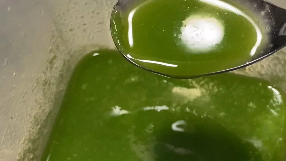 creation thumb for Scallion oil