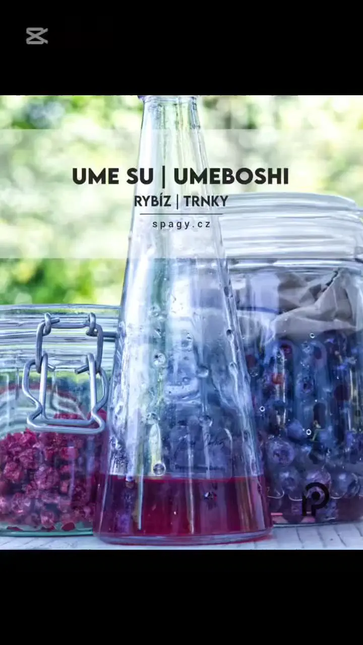 creation thumb for Ume Su | Umeboshi | Currants